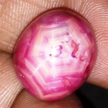 22.41 Cts Star Ruby Johnson Mine 15.42 x 13.36 x 9.68 mm