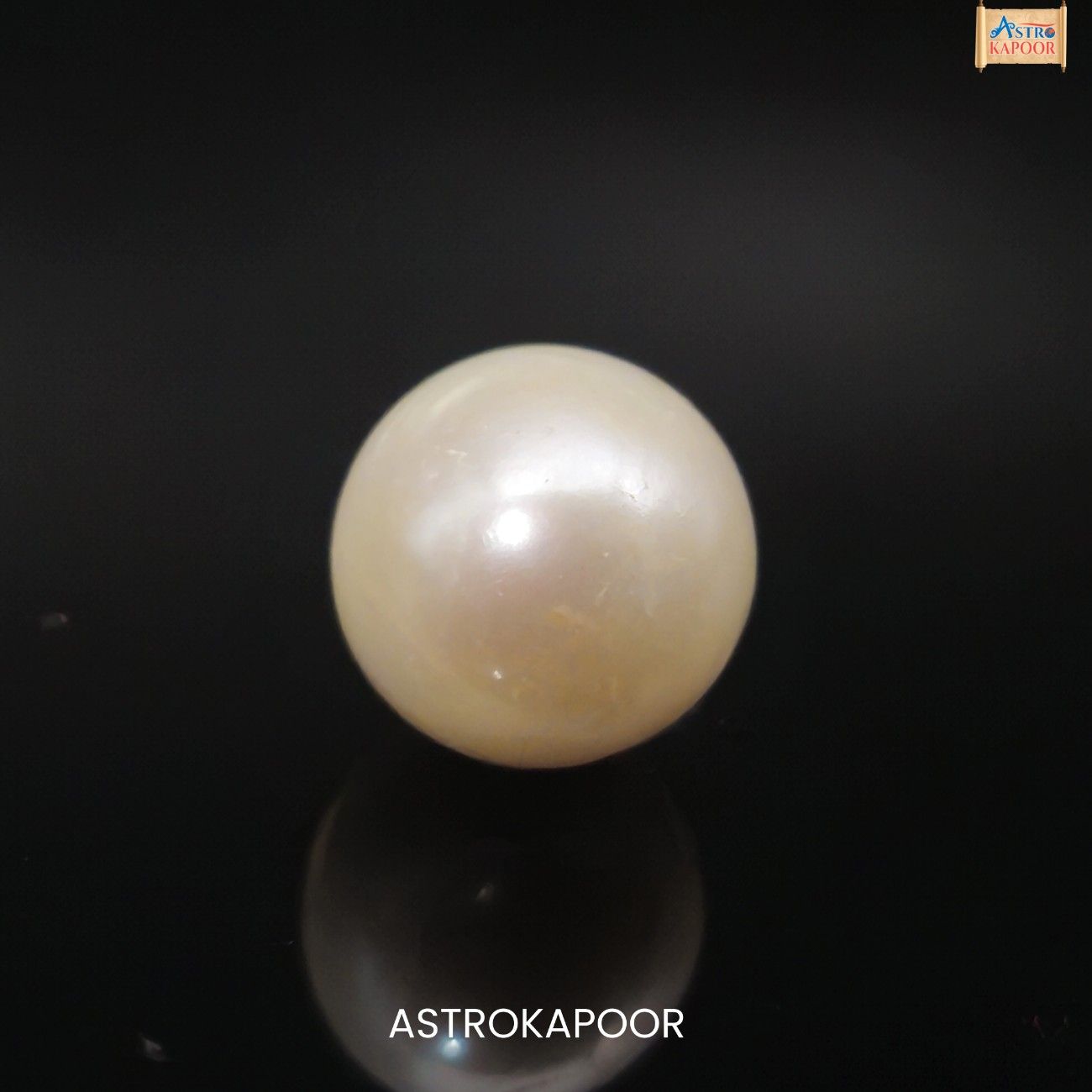 Pearl-Back.jpeg