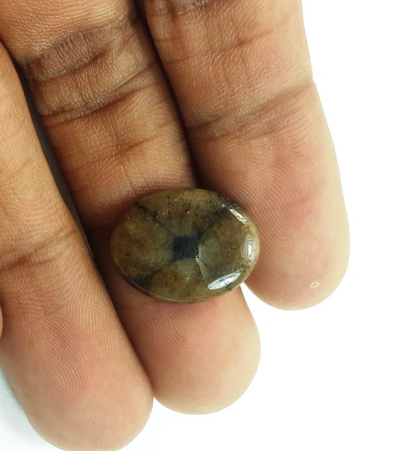 8.51 Carats Natural Chiastolite 17.34 X 13.36 X 3.35 mm