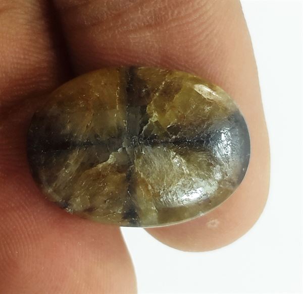 11.73 Carats Natural Chiastolite 19.49 X 14.32 X 3.81 mm