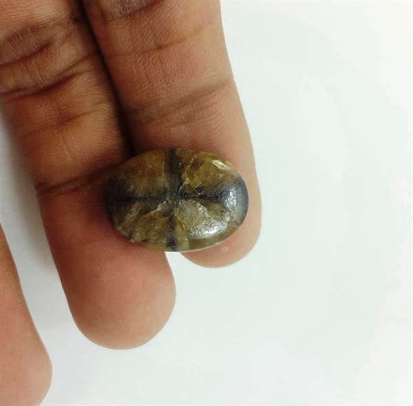 11.73 Carats Natural Chiastolite 19.49 X 14.32 X 3.81 mm
