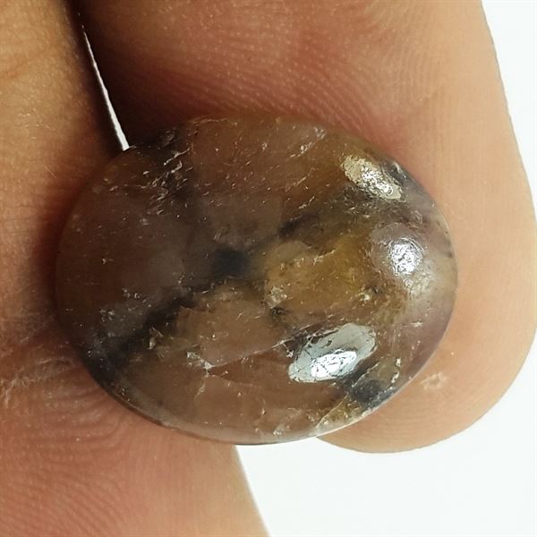 9.61 Carats Natural Chiastolite 16.59 X 13.94 X 4.22 mm