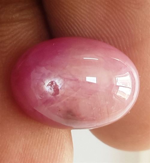 11.24 Carats Johnson Mines Star Ruby 13.74 x 9.88 x 7.76 mm