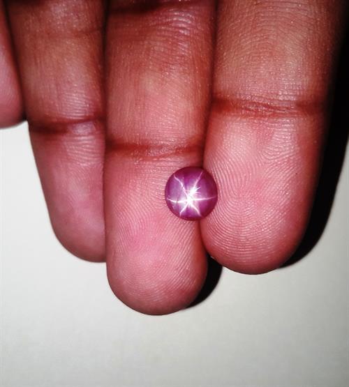 1.73 Carats Burmese Star Ruby 7.30x7.25x2.99 mm