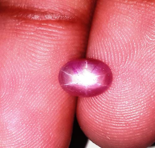 1.31 Carats Burmese Star Ruby 7.59x5.46x2.82 mm