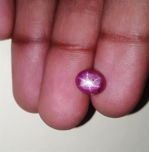 3.71 Carats Kenya Mines  Star Ruby 8.74x7.16x5.08 mm