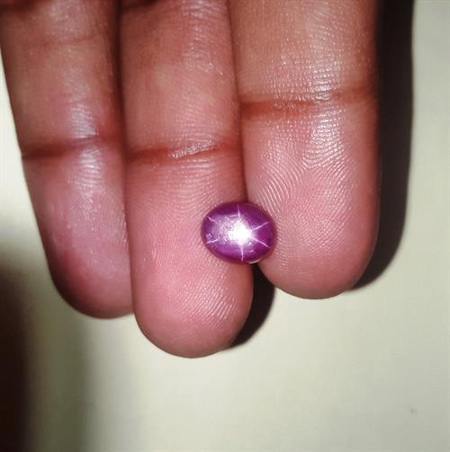 3.32 Carats Kenya Mines  Star Ruby 8.69x7.08x4.70 mm
