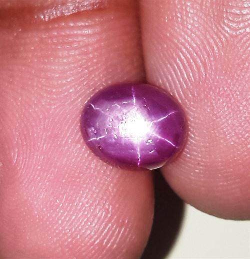 3.32 Carats Kenya Mines Star Ruby 8.69x7.08x4.70 mm
