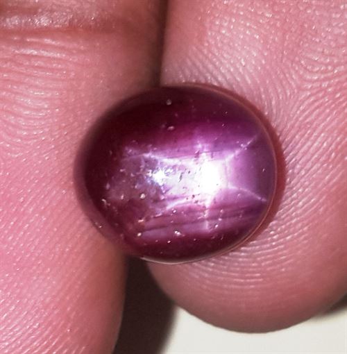 11.35 Carats African Star Ruby 11.10x10.01x8.63 mm