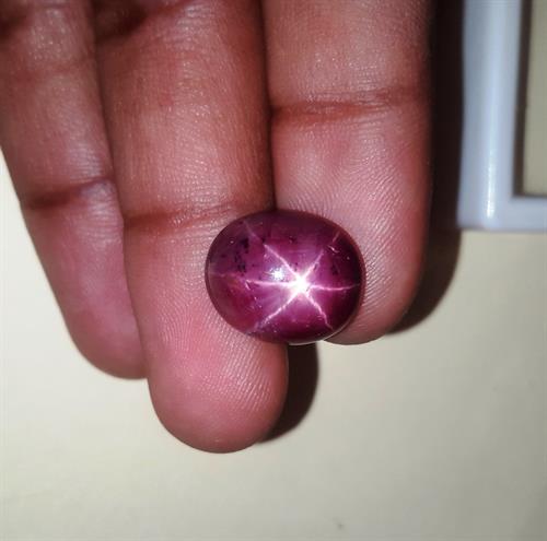 15.71 Carats African Star Ruby 14.95x12.61x7.49 mm