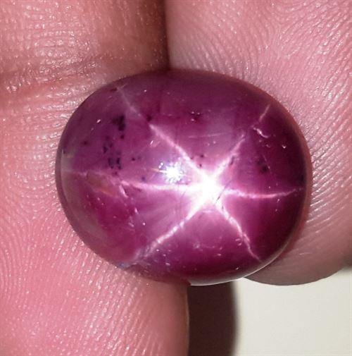 15.71 Carats African Star Ruby 14.95x12.61x7.49 mm