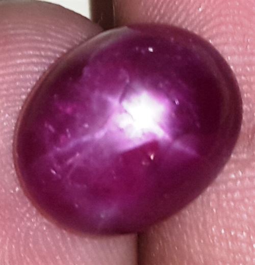 10.2 Carats African Star Ruby 13.55x10.99x6.30 mm