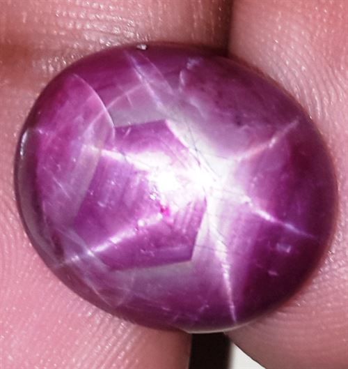 16.61 Carats African Star Ruby 16.48x14.23x6.37 mm