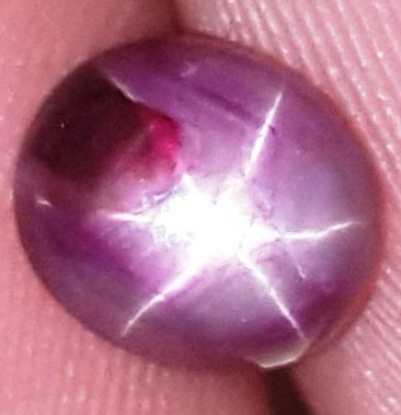 2.37 Carats African Star Ruby 7.04x6.12x4.28 mm