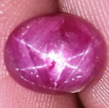 2.56 Carats African Star Ruby 8.06x6.44x4.14 mm