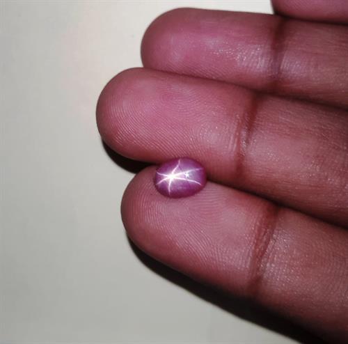 1.83 Carats African Star Ruby 8.34x6.13x3.17 mm
